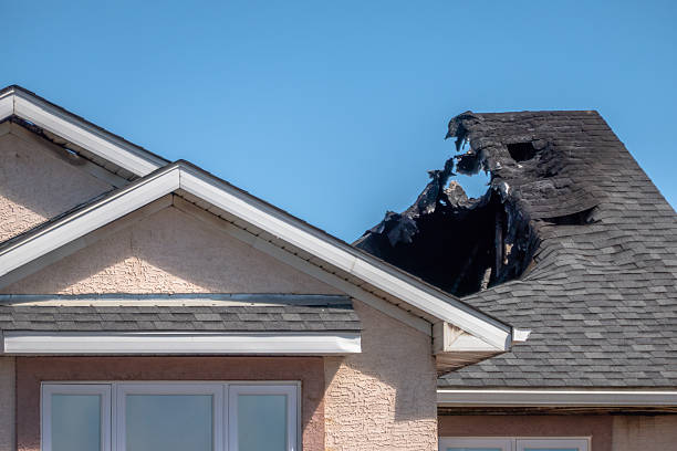 Top rated local Odor Removal specialists in Horsham, PA